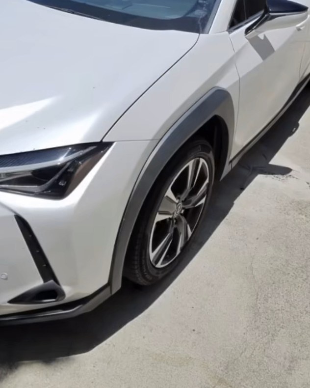 Lexus UX detailed by Kirby's Auto Spa in San Diego